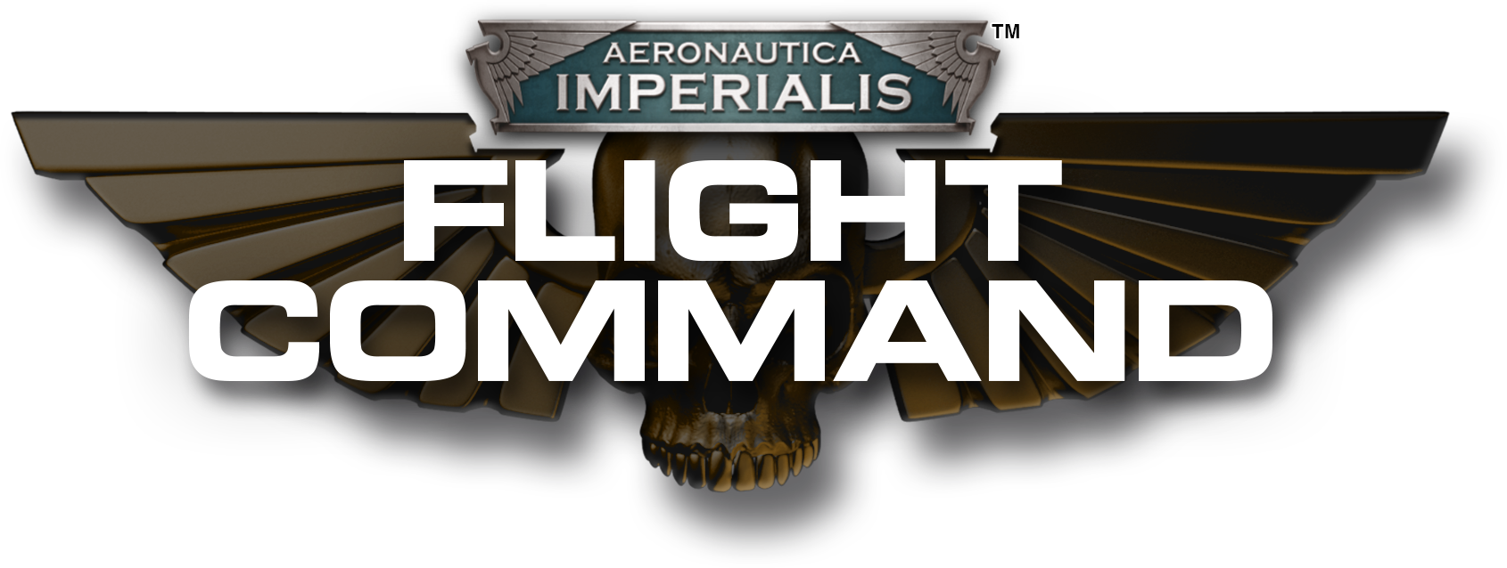 Aeronautica logo